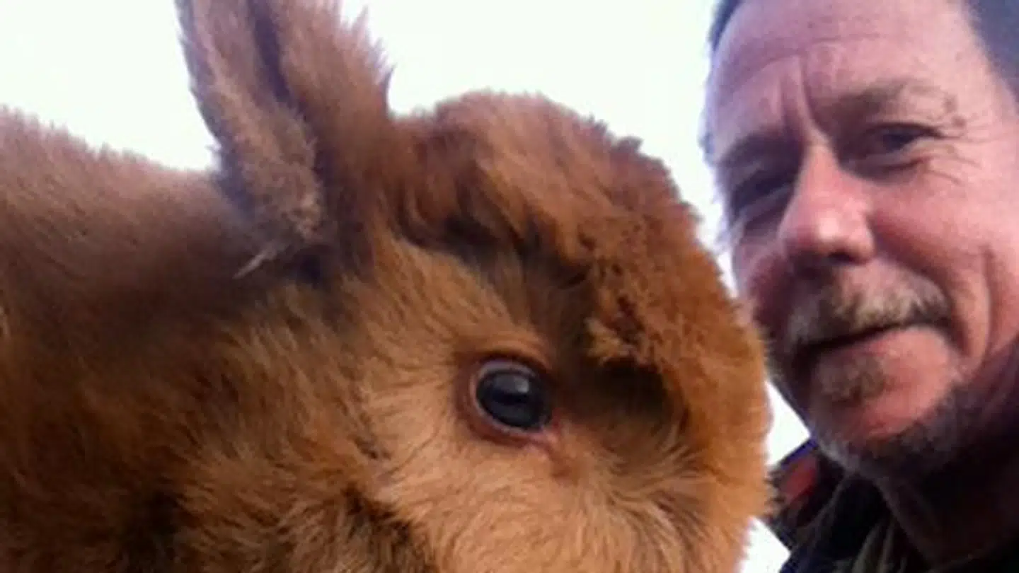 Henrik Weile fik en bøde og kom i retten, fordi han solgte kaffe fra sin baghave.