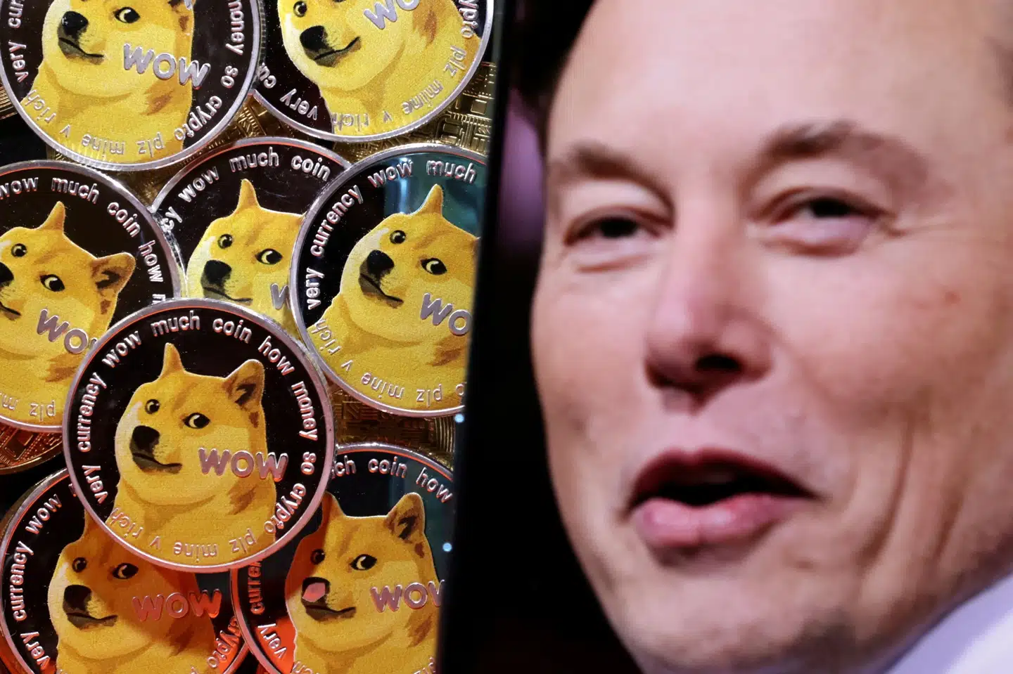 Elon Musk har tidligere omtalt dogecoin som hans foretrukne kryptovaluta. (Arkivfoto). Dado Ruvic/Reuters