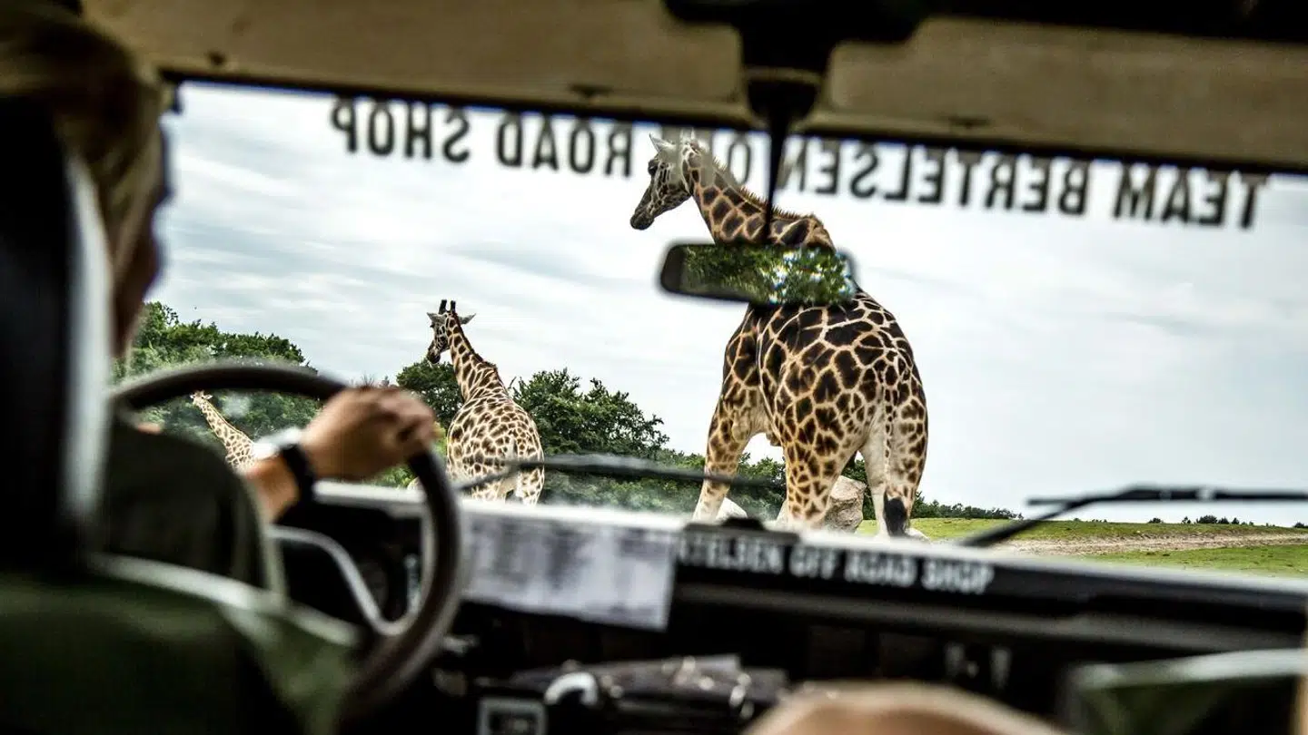 Ree Park Safari er ikke vendt tilbage på B.T.s adskillige henvendelser.