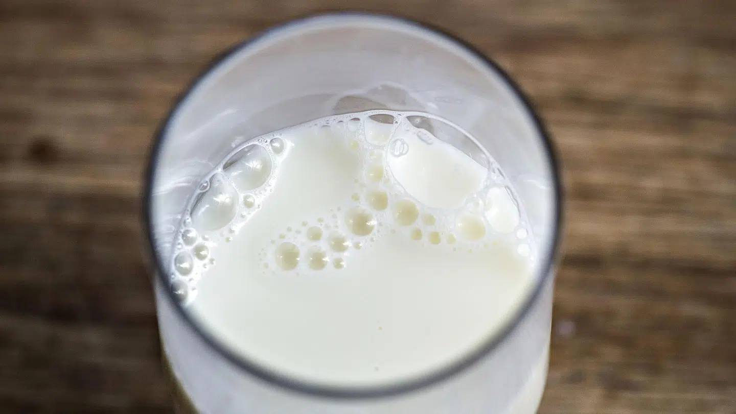 Københavns Kommune dropper skolemælk fra næste år (Arkivfoto). Henning Bagger/Ritzau Scanpix