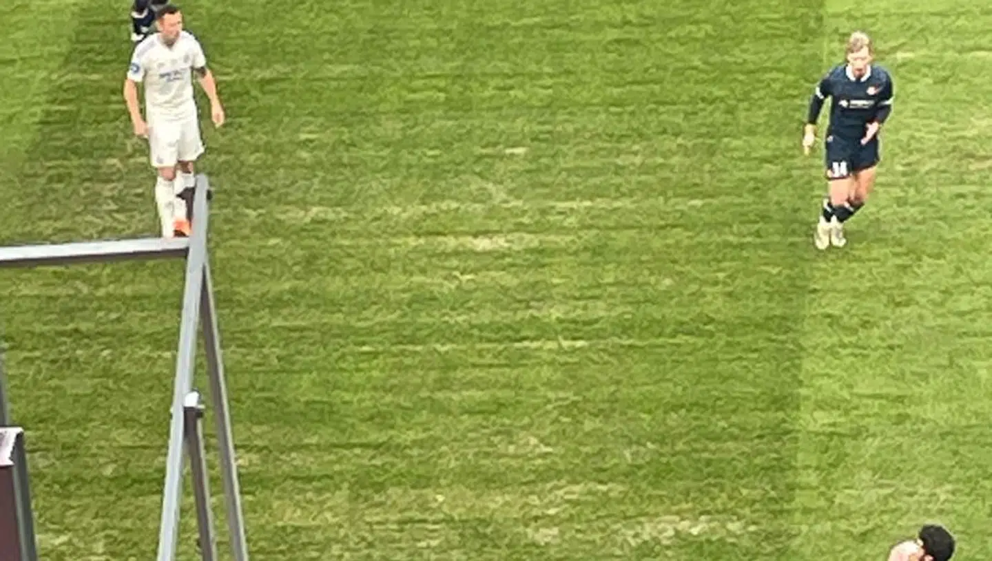 Parkens græstæppe fremstår med brune plamager.