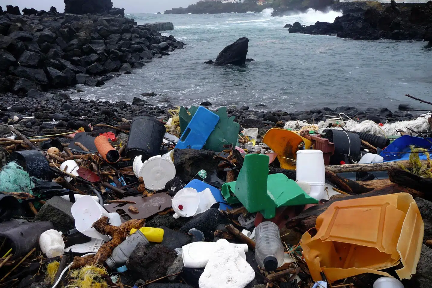 Plastik i større fraktioner er et kæmpeproblem over hele kloden og er til fare for fugle og havpattedyr. Til gengæld mener forskere fra Danmarks Tekniske Universitet (DTU) at kunne lægge bekymringen for bittesmå mikroplastpartikler i havmiljøet og fødekæden ned. (Arkivfoto). Handout/Ritzau Scanpix