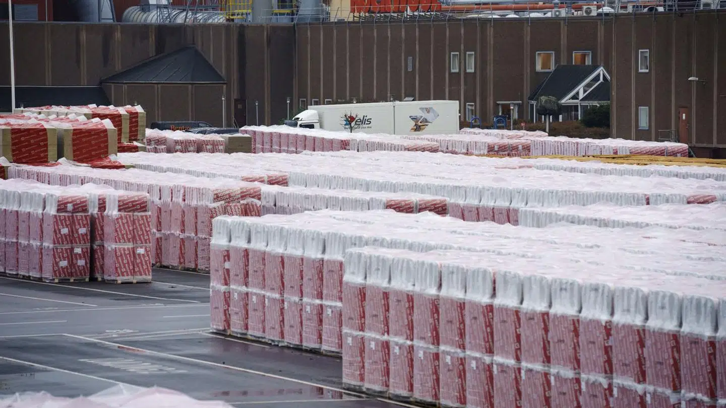 Rockwool kontaktede Udenrigsministeriet forud for demonstration mod virksomheden.