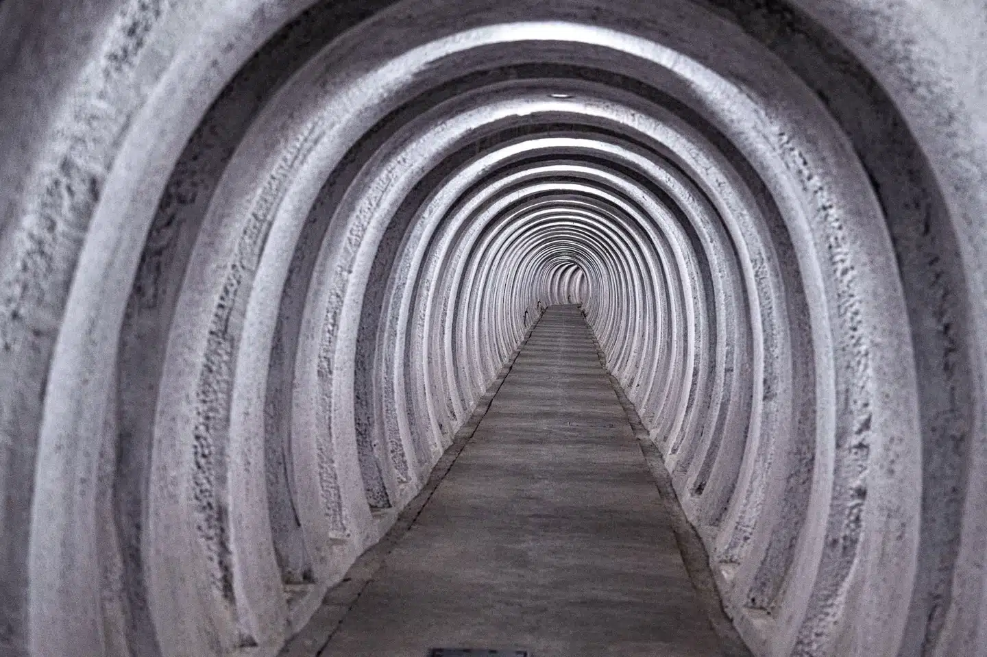 Regan Vest var i mange år en velbevaret hemmelighed. Men i 2012 blev anlægget taget ud af beredskabsplanerne, og offentligheden fik kendskab til regeringsbunkeren. Henning Bagger/Ritzau Scanpix