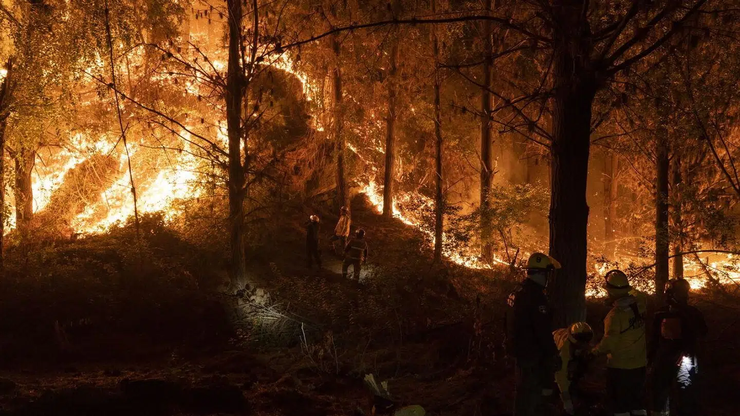Store skovområder står fortsat i flammer i Biobio regionen i Chile.