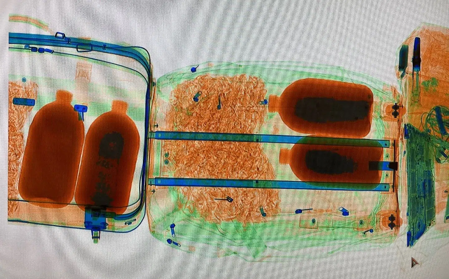 Scanningen af de rejsendes kufferter viste 13 flasker, der viste sig at indeholde 81 kilo honning.