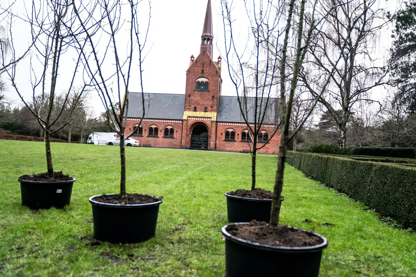 Tidligere minister og overborgmester Ritt Bjerregaard begraves på Vestre Kirkegård nær socialdemokratiske koryfæer som Anker Jørgensen og Thorvald Stauning. På gravpladsen plantes fem æbletræer, som Bjerregaard selv har udvalgt. Ida Marie Odgaard/Ritzau Scanpix