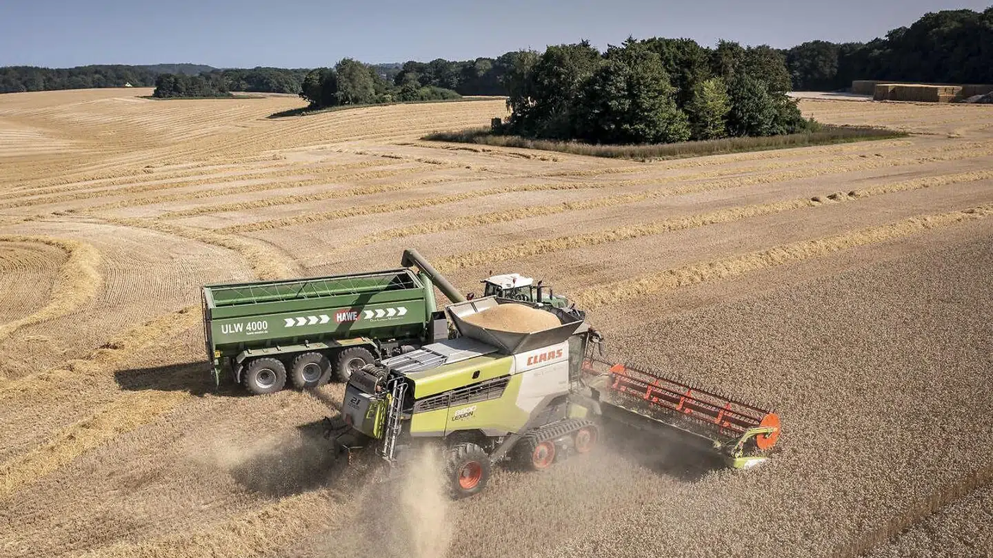 Hvedeprisen er netop nu på det laveste niveau siden Rusland angreb Ukraine (arkivfoto).