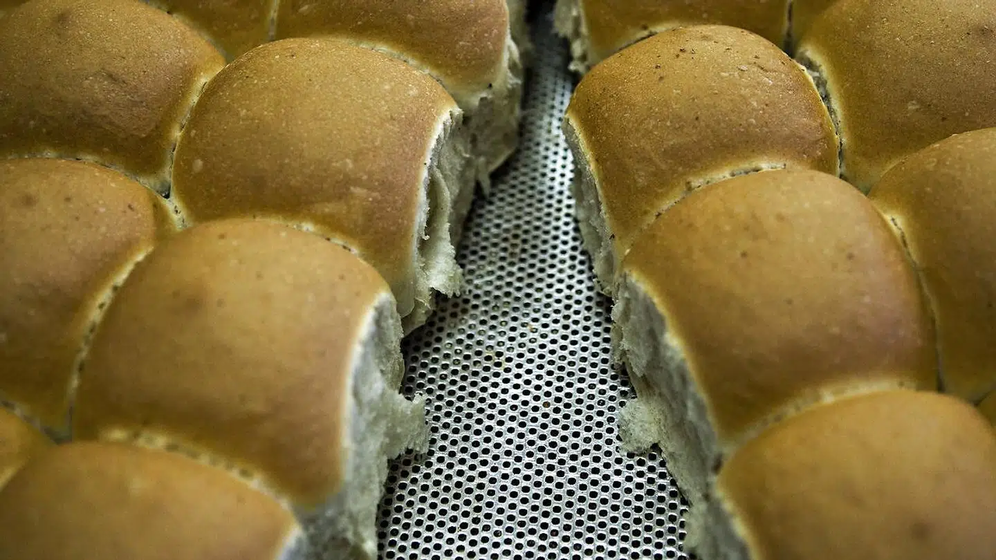 Varme hveder og store bededag hænger uløseligt sammen. Fra 2024 er det efter alt at dømme slut med store bededag. Overlever hvederne?