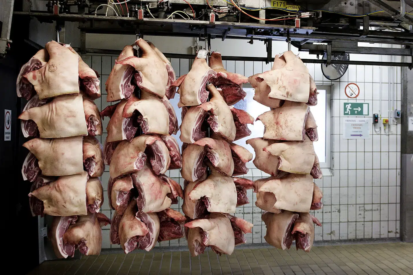 Fødevarestyrelsen har fundet 250 ton gammelt kød hos slagterivirksomheden Skare Meat Packers. Noget af kødet er helt tilbage fra 2010. Billedet er ikke taget hos virksomheden. (Arkivfoto). Liselotte Sabroe/Ritzau Scanpix