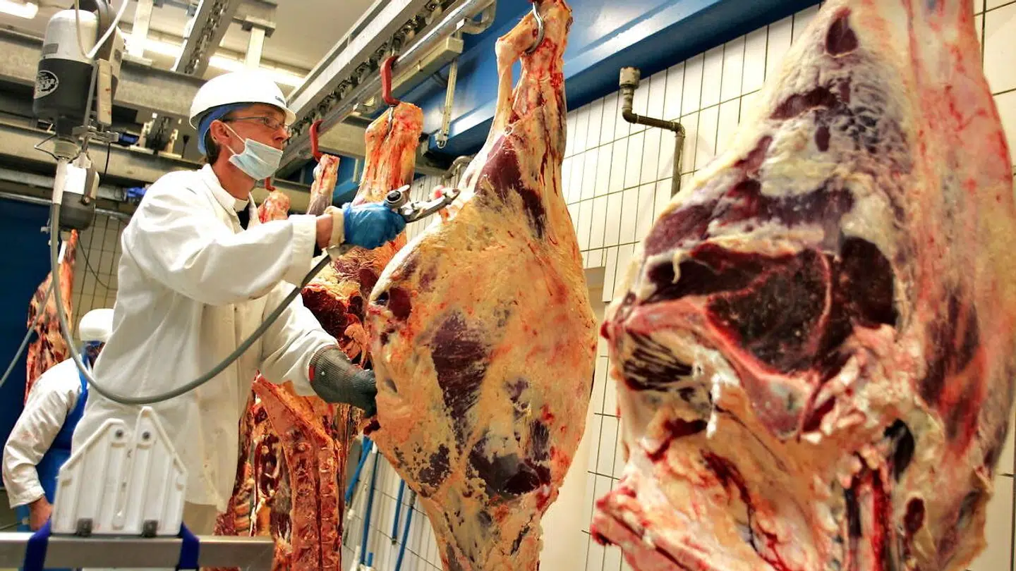 Skare Meat Packers sælger blandt andet sine produkter til Salling Group, der har Bilka, Føtex og Netto under sig, samt til hotel- og restaurationsbranchen. En stor andel bliver også solgt til udlandet. Arkivfoto