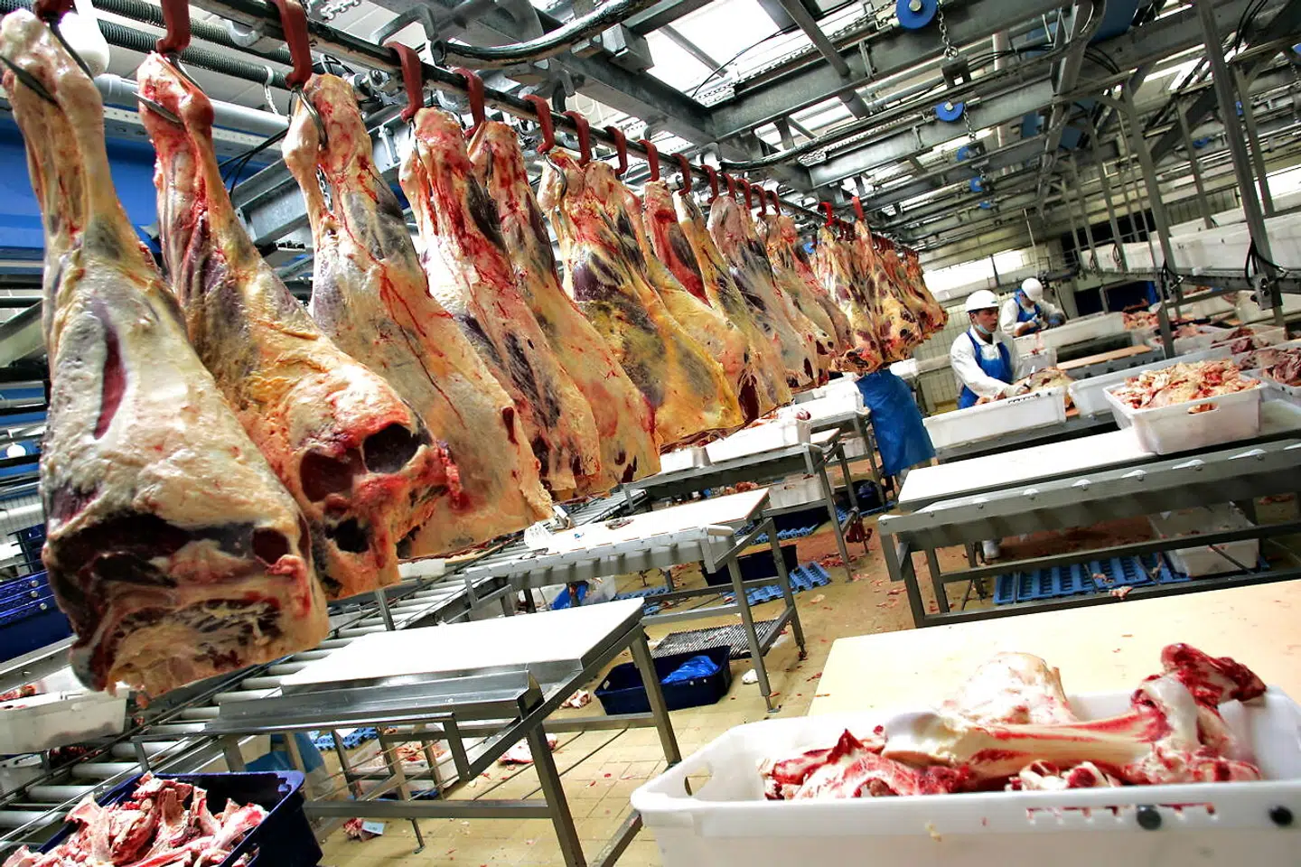 Skare Meat Packers i Vejen.