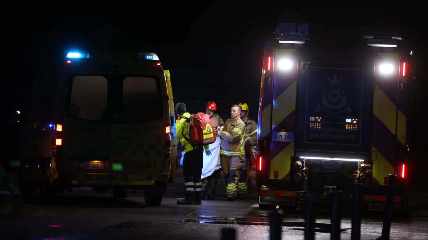 Foto: Byrd/Mikkel Johansen