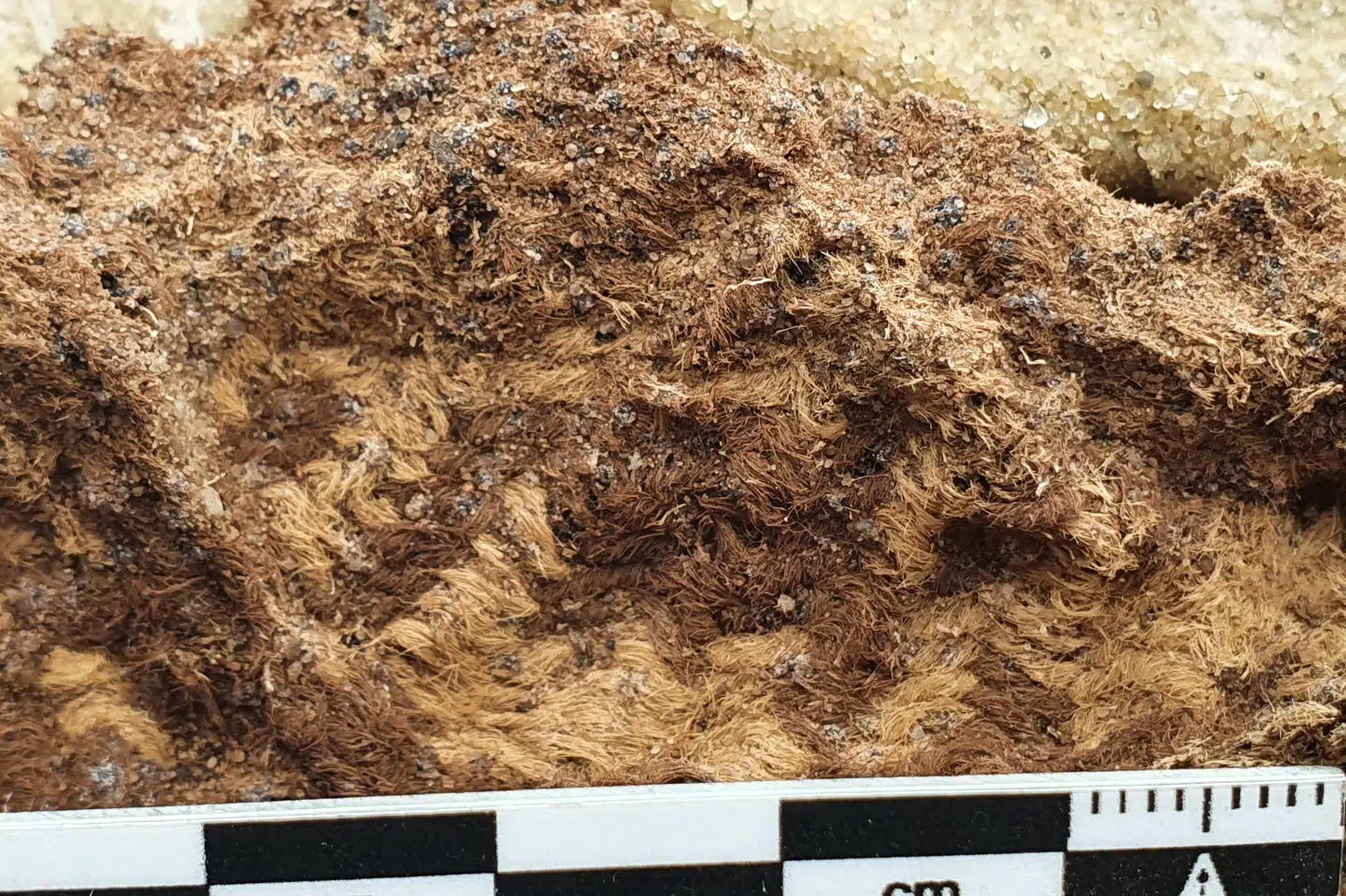 Et tekstilfragment med pepitamønster fra jernalderen er et af de fund, som i år er kommet på listen over de top-10 mest opsigtsvækkende arkæologiske fund i 2022. (Handout fra Museum Midtjylland.) Museum Midtjylland/Free
