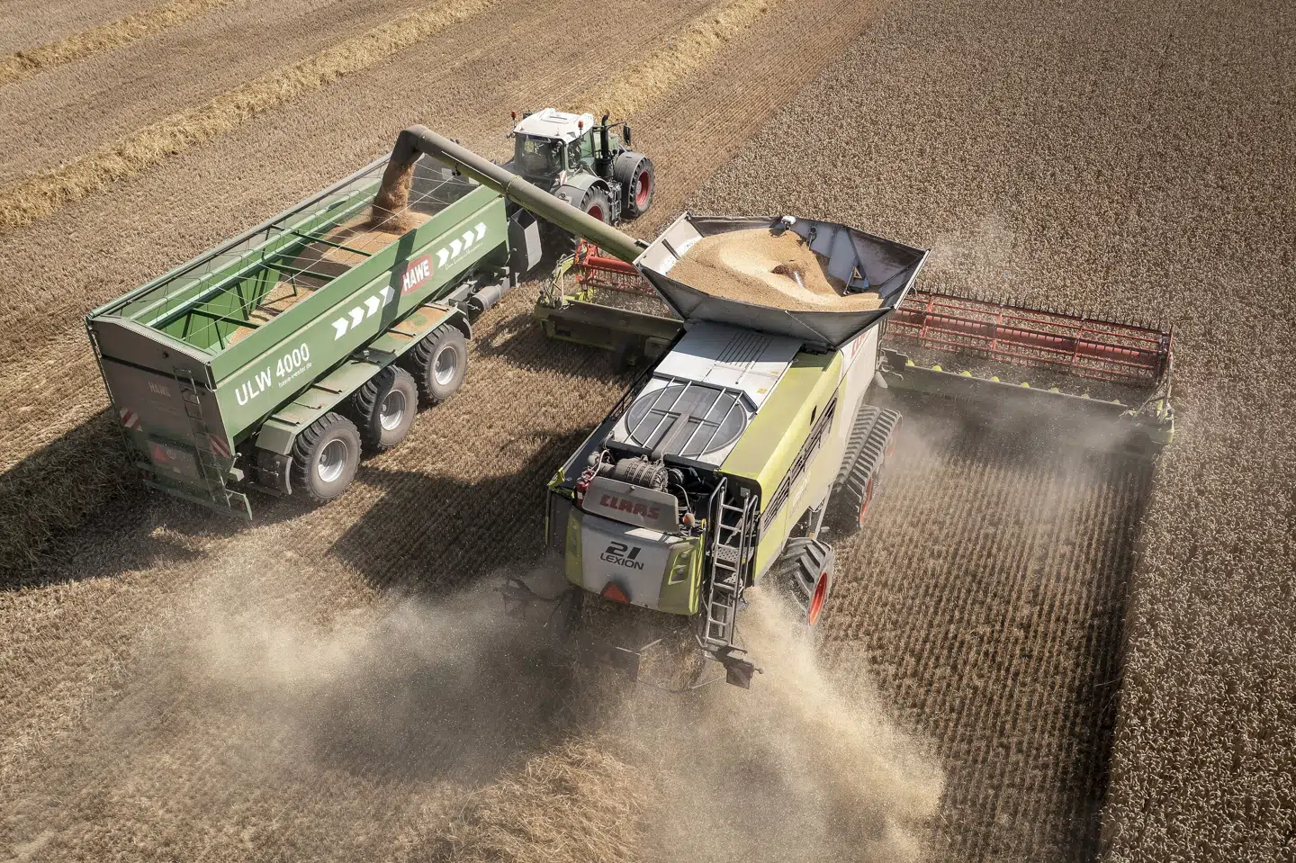 Landbrug, skovbrug og fiskeri er den branche, der andelsmæssigt har flest udlændinge ansat på fuldtid. (Arkivfoto). Mads Claus Rasmussen/Ritzau Scanpix