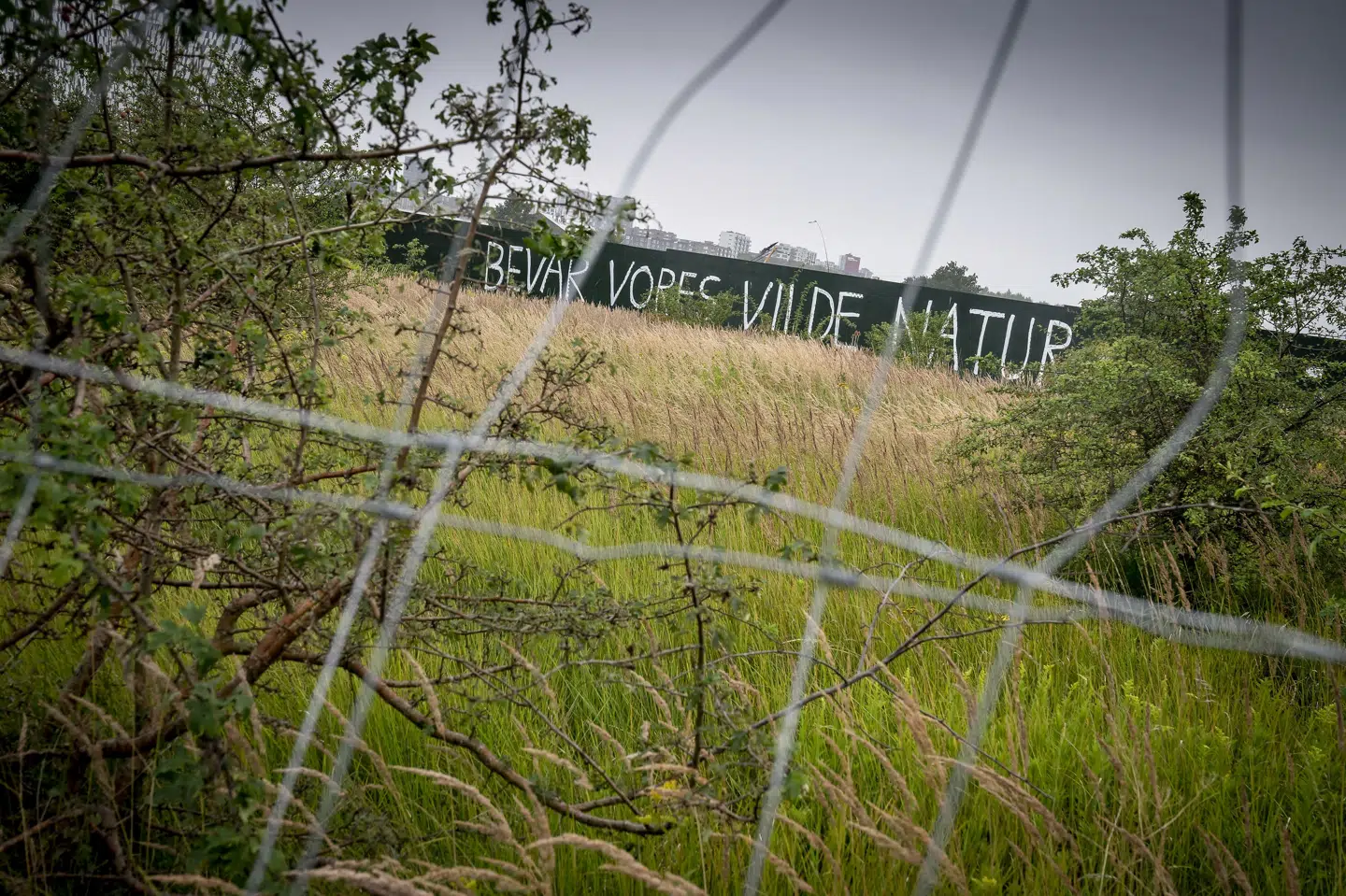 Organisationen Amager Fælleds Venner er imod et omstridt byggeri på Amager Fælled. Københavns Byret har mandag bestemt, at byggeriet skal indstilles, indtil en retssag om emnet er endeligt afgjort. (Arkivfoto). Mads Claus Rasmussen/Ritzau Scanpix