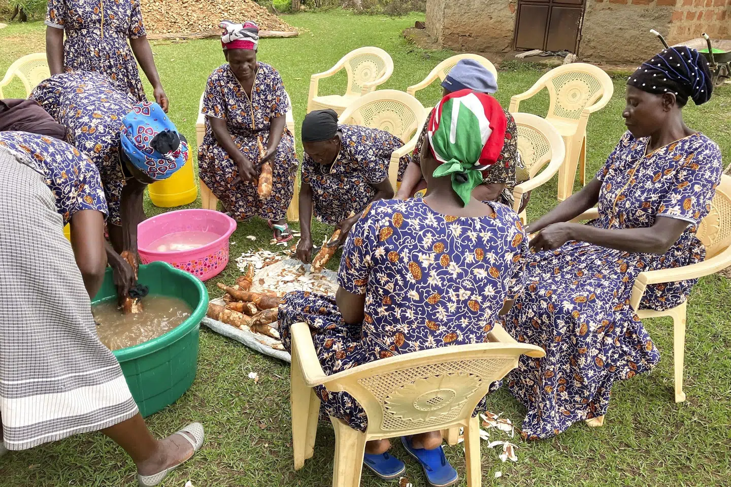 Problemer med produktion og distribution af fødevarer har tvunget kenyanere til at genoptage brugen af traditionelle fødevarer. Mange på det afrikanske kontinent ser ind i en fremtid med fødevaremangel, og FN varsler et rekord stort behov for humanitær nødhjælp. (Arkivfoto). David Renke/Ritzau Scanpix