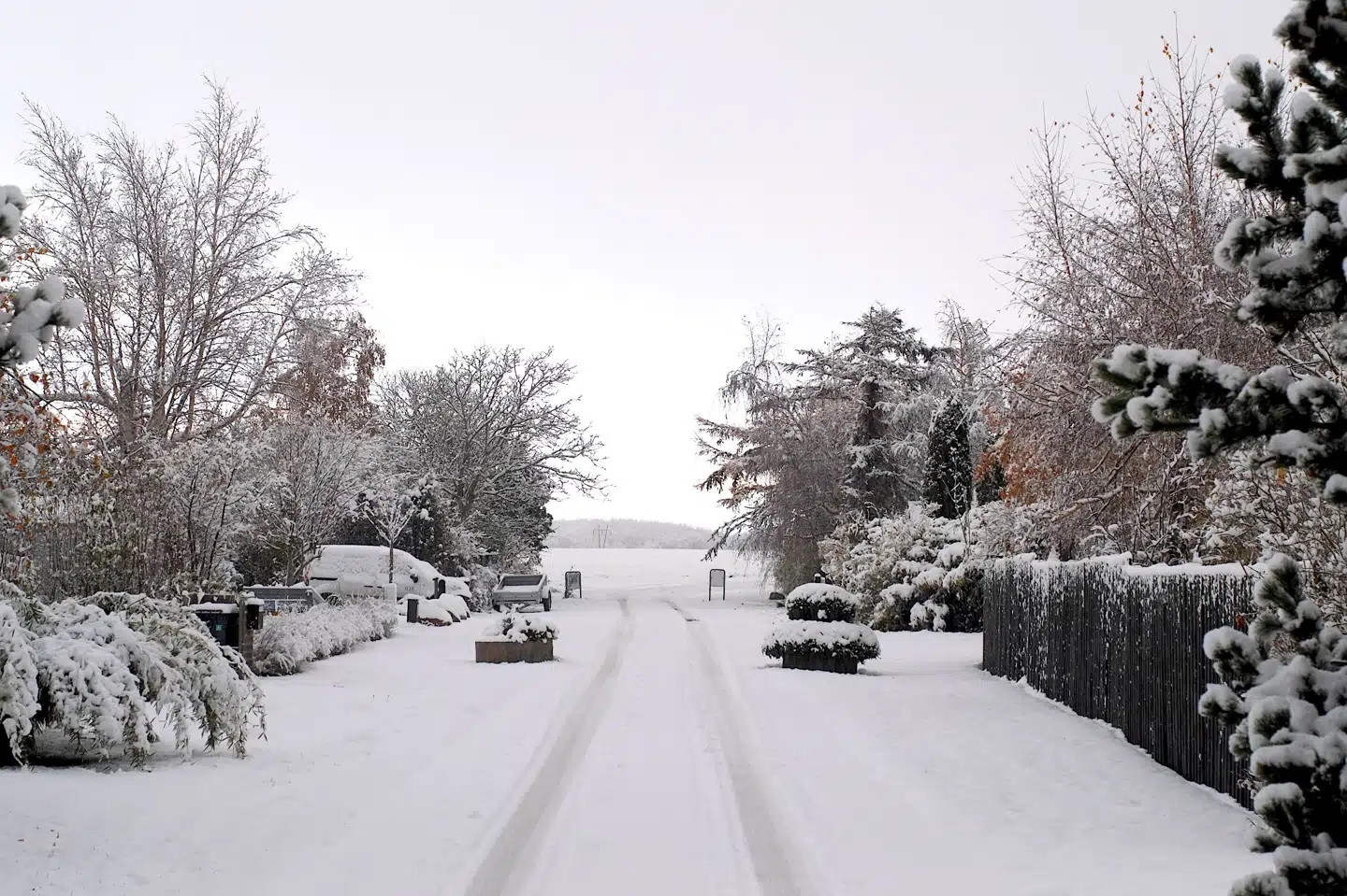 Sneen er dalet ned over Sydsjælland og Lolland-Falster søndag. Her fanget på en vej i Vordingborg. Hans Fromberg/Free