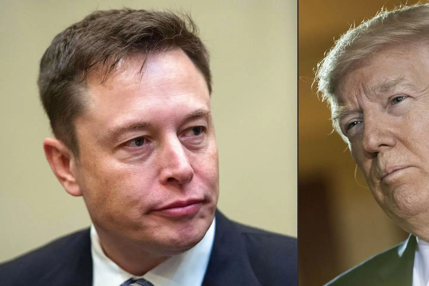 Donald Trump siger, at han synes godt om Elon Musk. Den tidligere præsident kan dog ikke se nogen grund til at vende tilbage til Twitter. (Arkivfoto). Nicholas Kamm, Brendan Smialowsk/Ritzau Scanpix