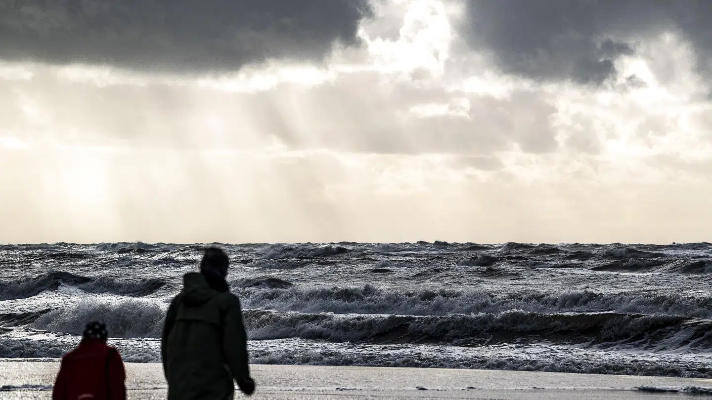 Både lørdag og søndag eftermiddag vil man kunne få solen at se mange steder i Danmark. John Randeris/Ritzau Scanpix