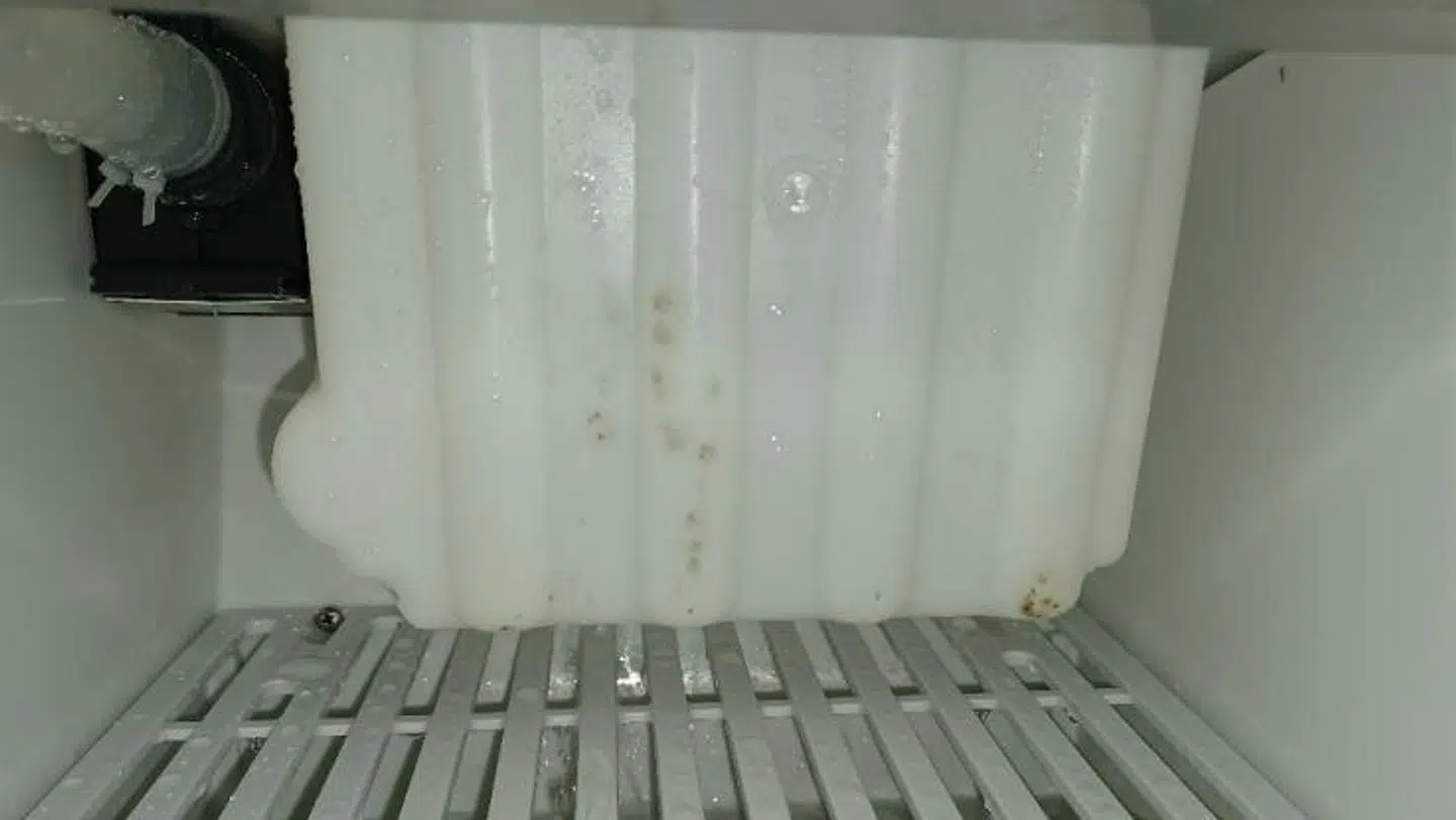 Skimmelvækst i isterningmaskine. Foto: Fødevarestyrelsen