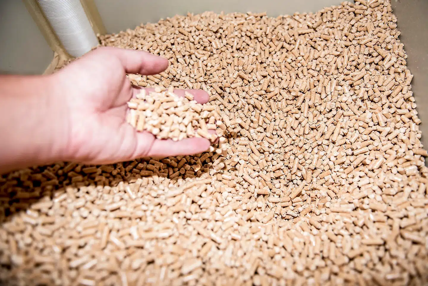 Arkivfoto: To personer, der står bag virksomheden Pinderup Træpiller, er blevet sigtet for databedrageri, oplyser Nordjyllands Politi i en pressemeddelelse.