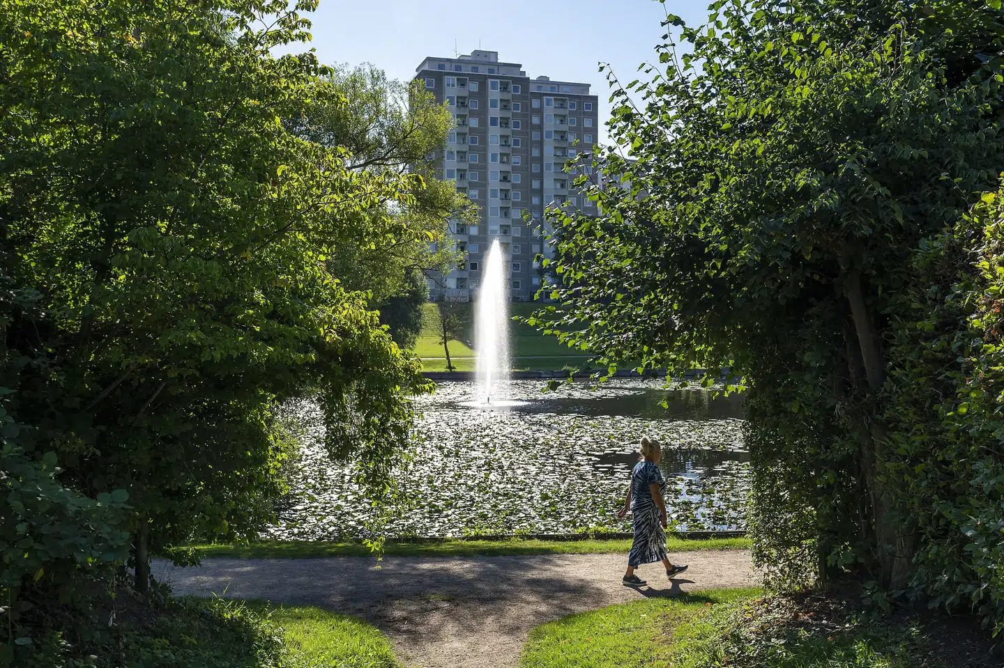 Bellahøjhusene blev opført i 1950'erne, og nu har ingeniører konstateret fejl i de bagvedliggende beregninger. Det betyder, at 149 familier i tre af højhusene skal genhuses. (Arkivfoto). Søren Bidstrup/Ritzau Scanpix