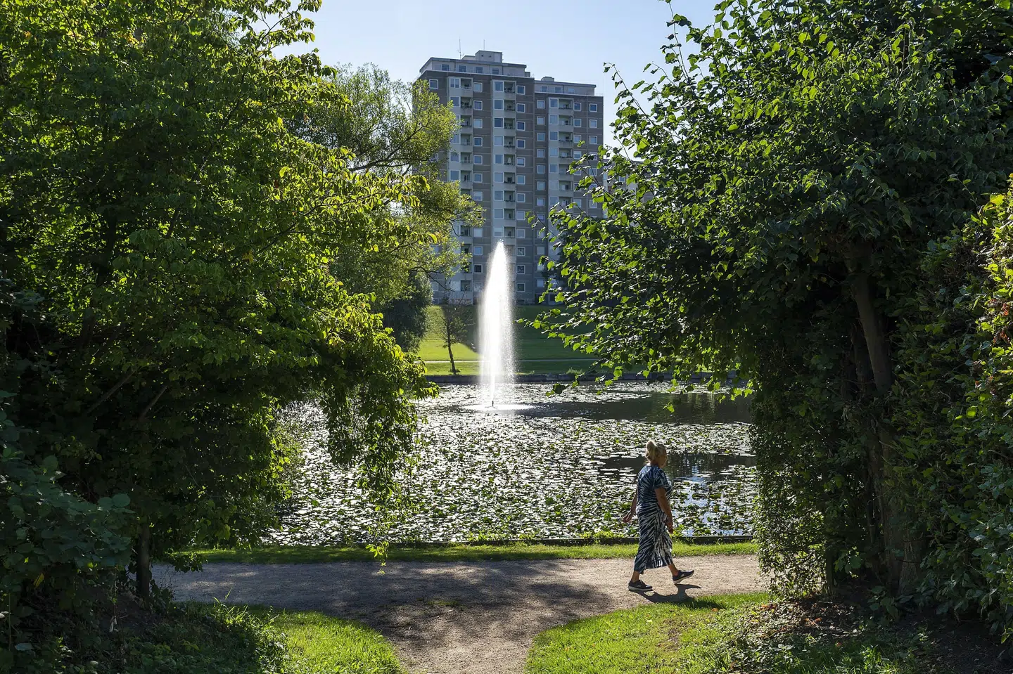 Bellahøjhusene blev opført i 1950'erne, og nu har ingeniører konstateret fejl i de bagvedliggende beregninger. Det betyder, at 149 familier i tre af højhusene skal genhuses. (Arkivfoto). Søren Bidstrup/Ritzau Scanpix
