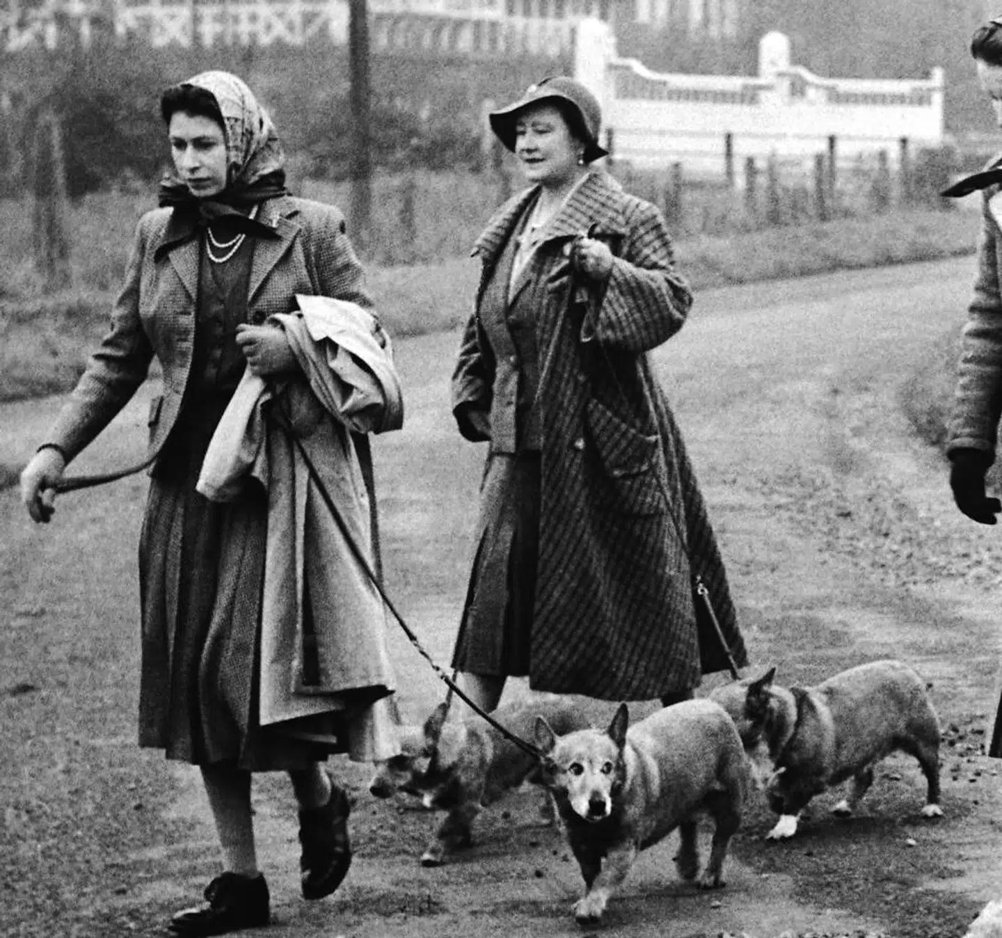 På dette billede fra 1956 ses dronning Elizabeth og hendes mor med en af de mange corgier, den nu afdøde dronning nåede at eje i løbet af sit lange liv.
