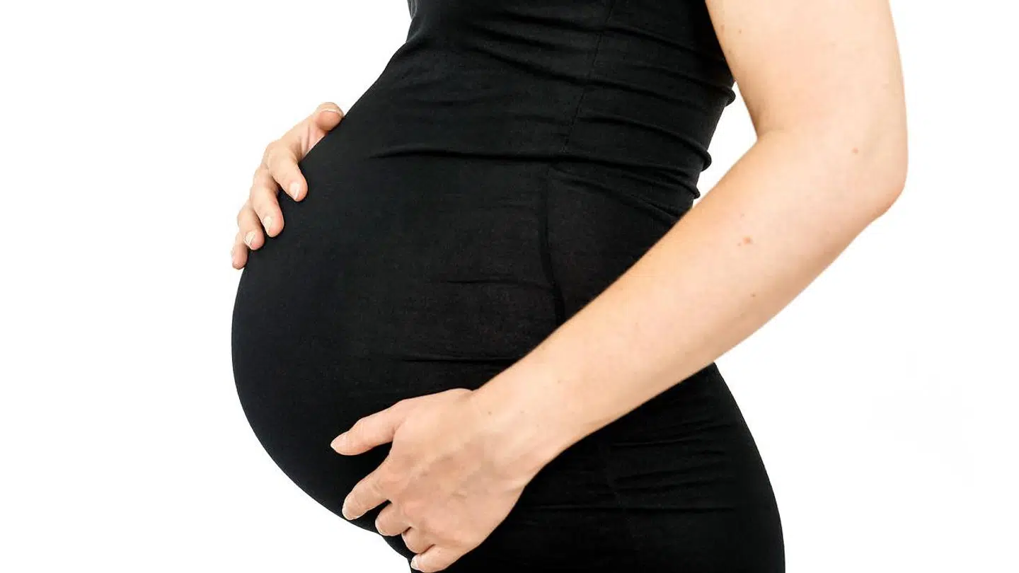 Gravid Foto: Ida Marie Odgaard/Ritzau Scanpix