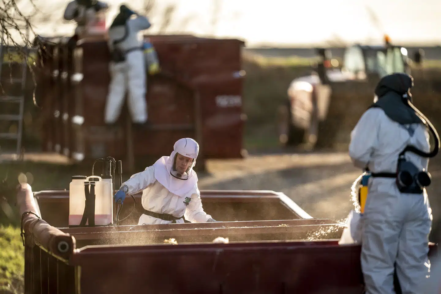 Når der bliver konstateret tilfælde af fugleinfluenza, bliver dyrene aflivet. Her ses en kalkunfarm ved Ruds Vedby på Vestsjælland i januar 2022, hvor Fødevarestyrelsen og Beredskabsstyrelsen måtte aflive tusinder af kalkuner og køre dem til destruktion efter fund af fugleinfluenza. Mads Claus Rasmussen/Ritzau Scanpix