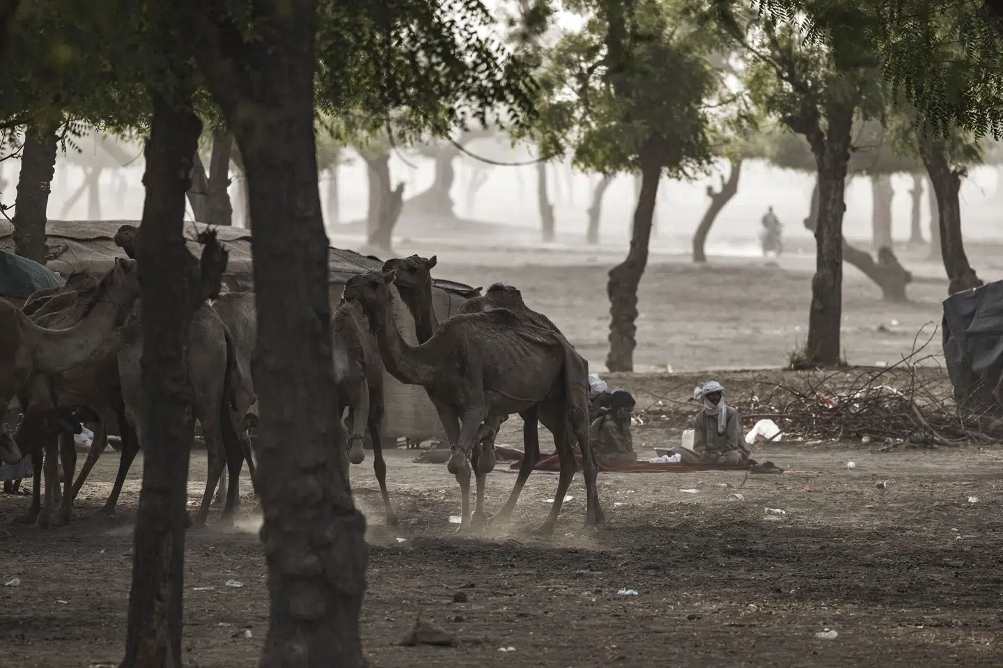 Mænd tilhørende en arabisk nomadestamme ses her uden for deres telt i Walia Tradex i udkanten af Tchads hovedstad, Ndjamena. (Arkivfoto). Marco Longari/Ritzau Scanpix