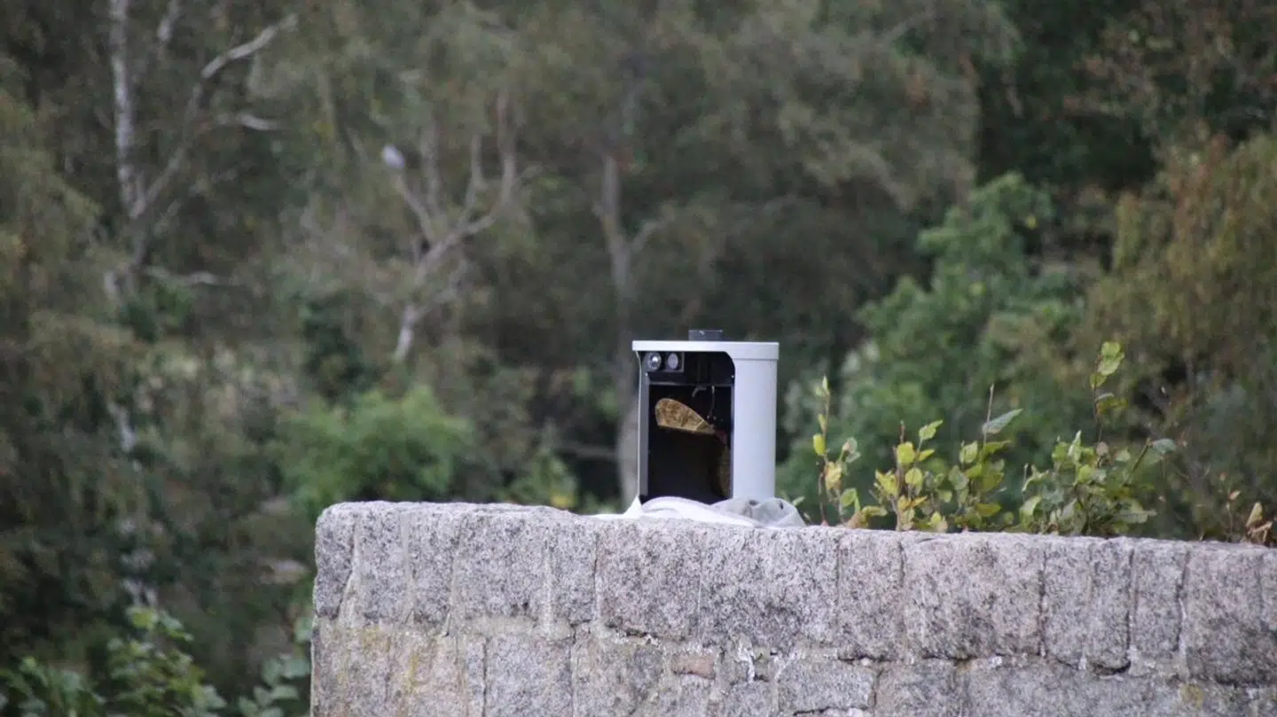 Foto: presse-fotos.dk