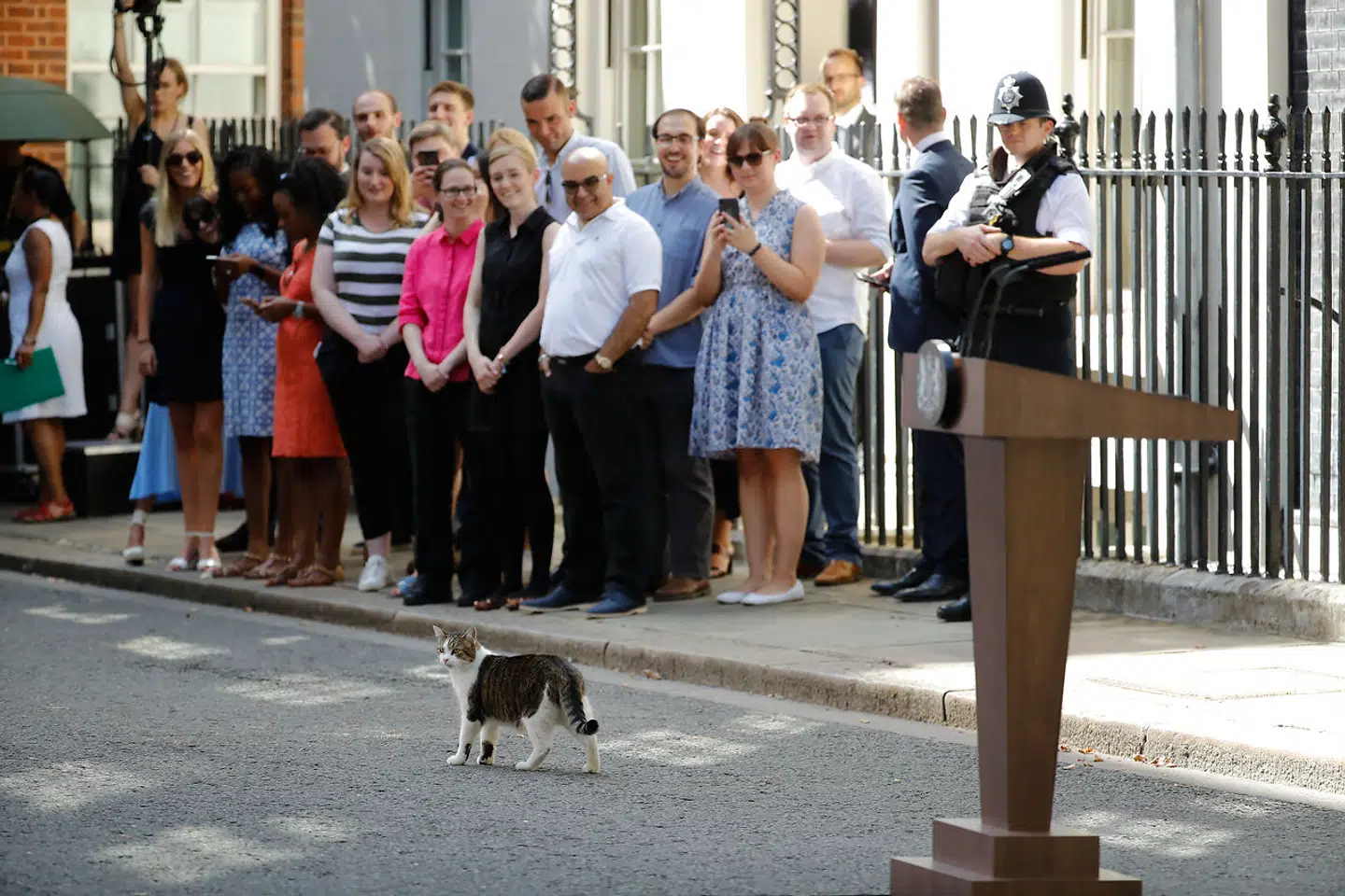 I 2019 ventede Larry sammen med resten af Storbritannien på, at Boris Johnson skulle holde tale sin første tale som premierminister.