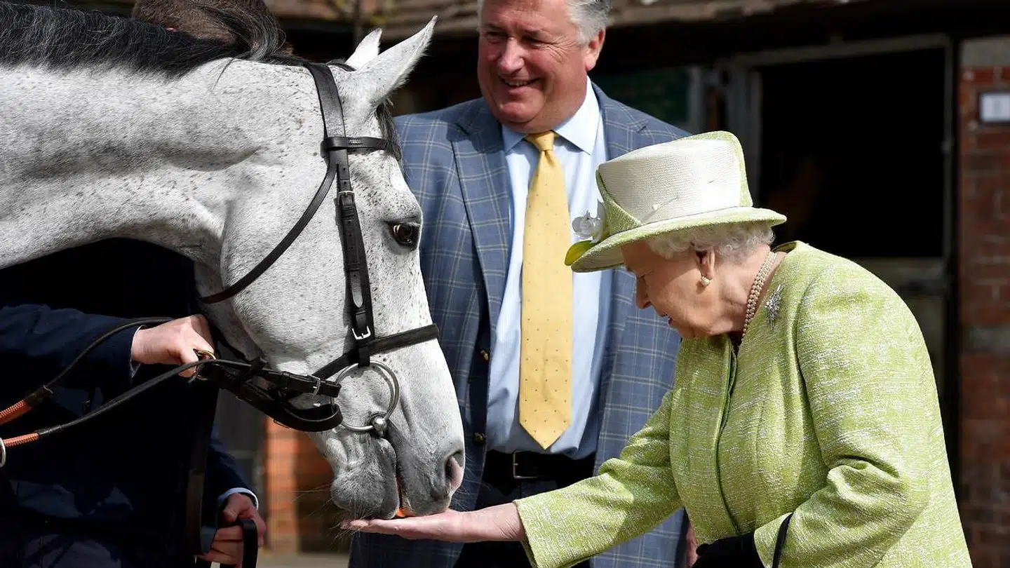 Dronning Elizabeth havde mange væddeløbsheste.
