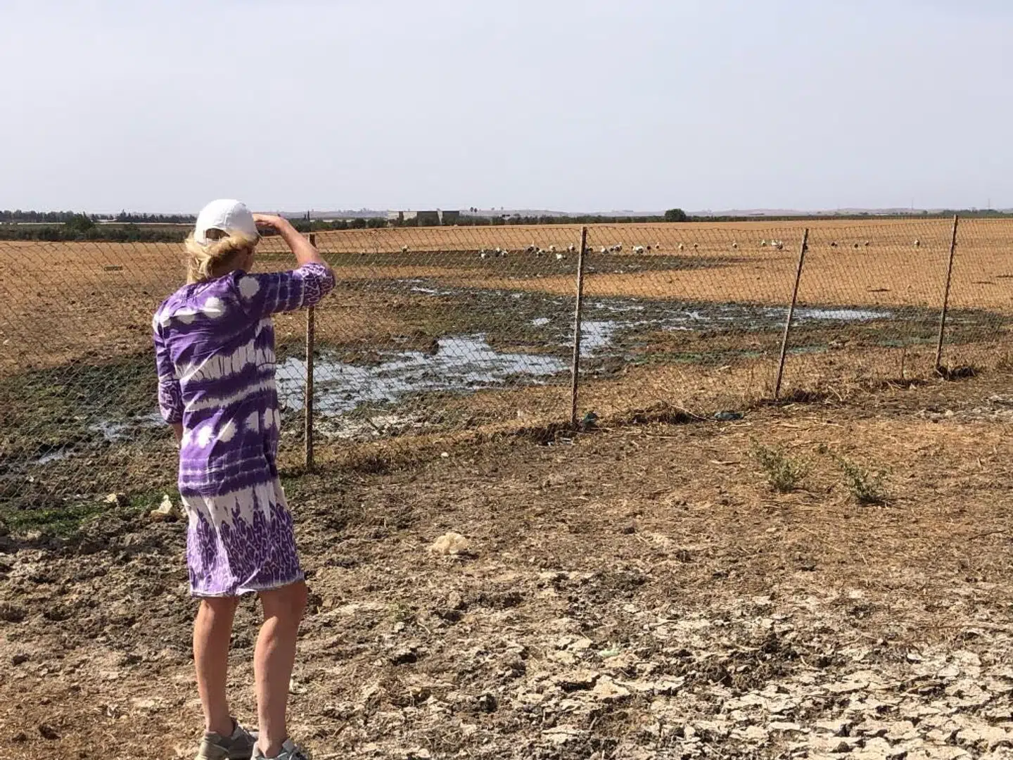 Magnus Corts mor spejder efter storken Cort.