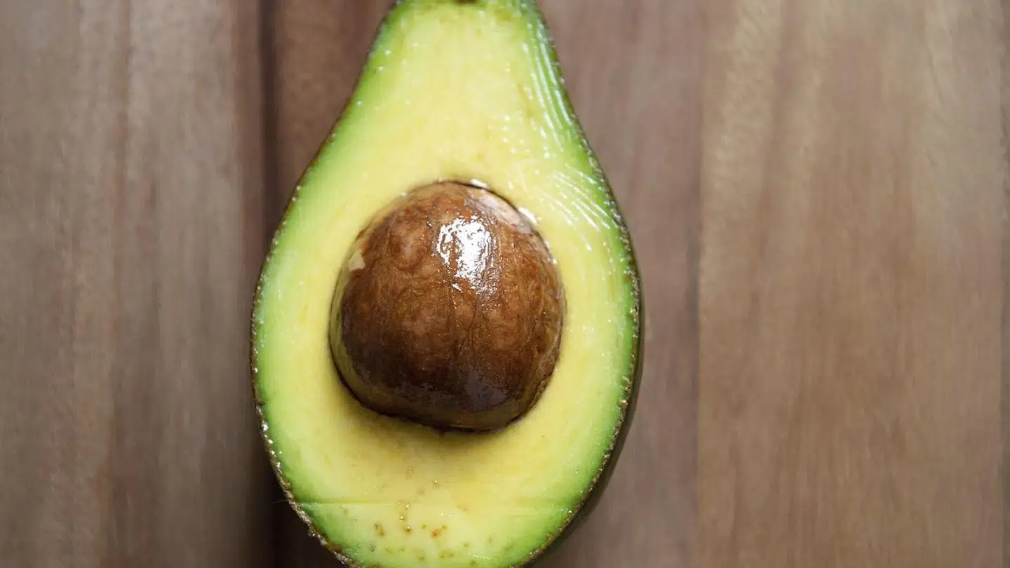 Avokadoer tilbagekaldes. Arkivfoto.