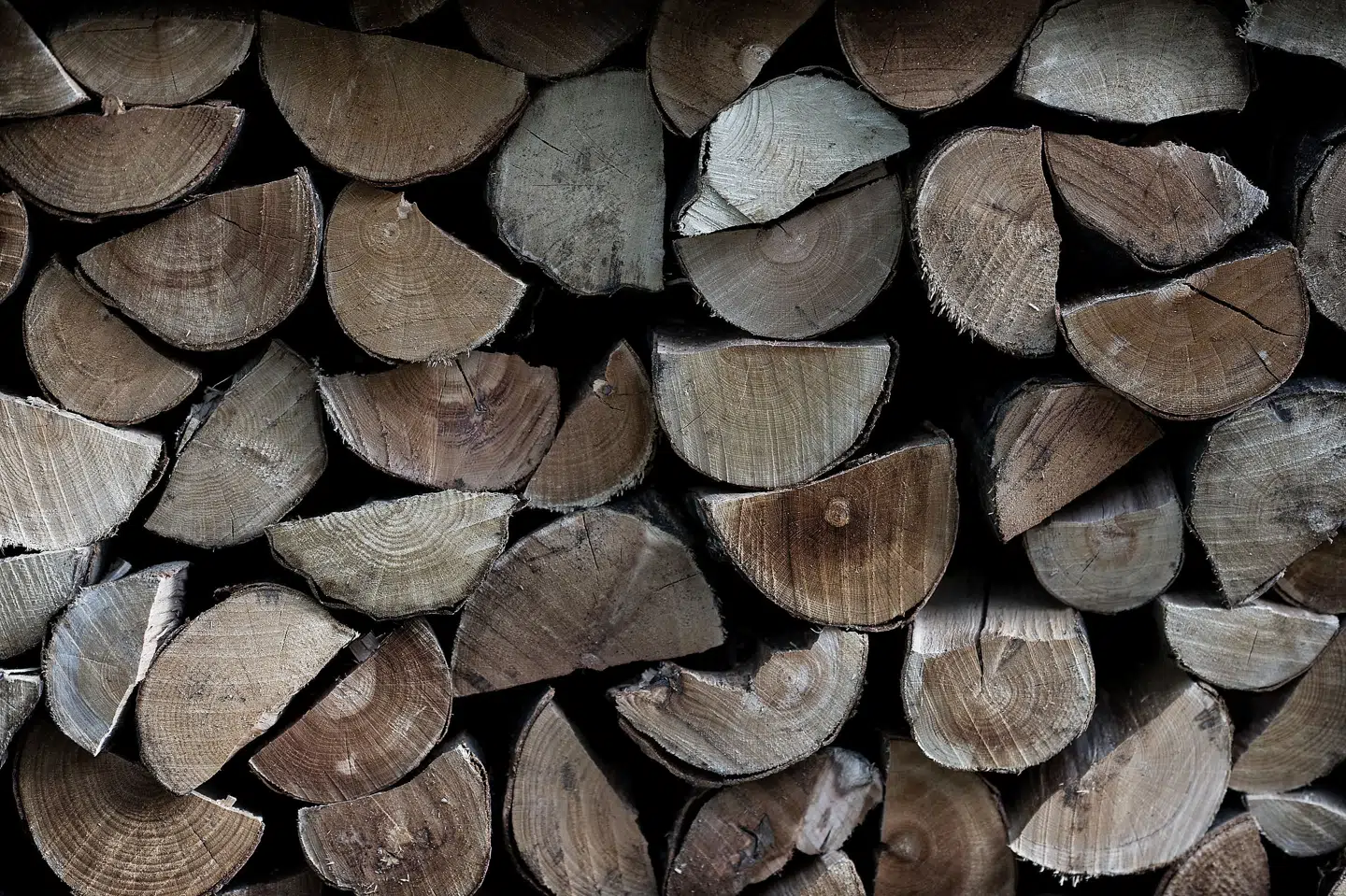 Brændeforhandlere oplever, at kunder forsøger at hamstre brænde. (Arkivfoto). Liselotte Sabroe/Ritzau Scanpix