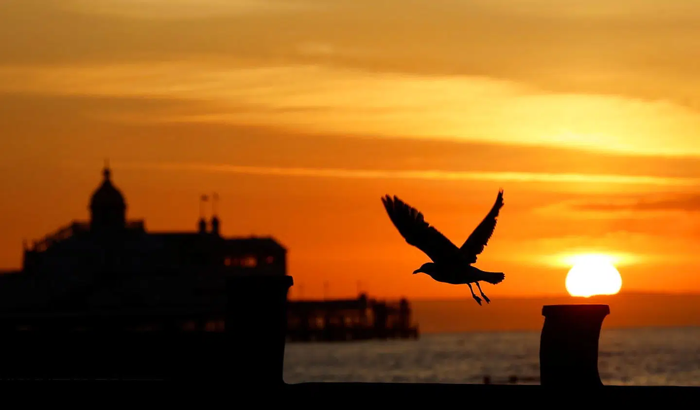 A gull and Eastbourne Pier are silhouetted at sunrise during summer solstice, Eastbourne, Britain, June 21, 2022. REUTERS/Andrew Boyers