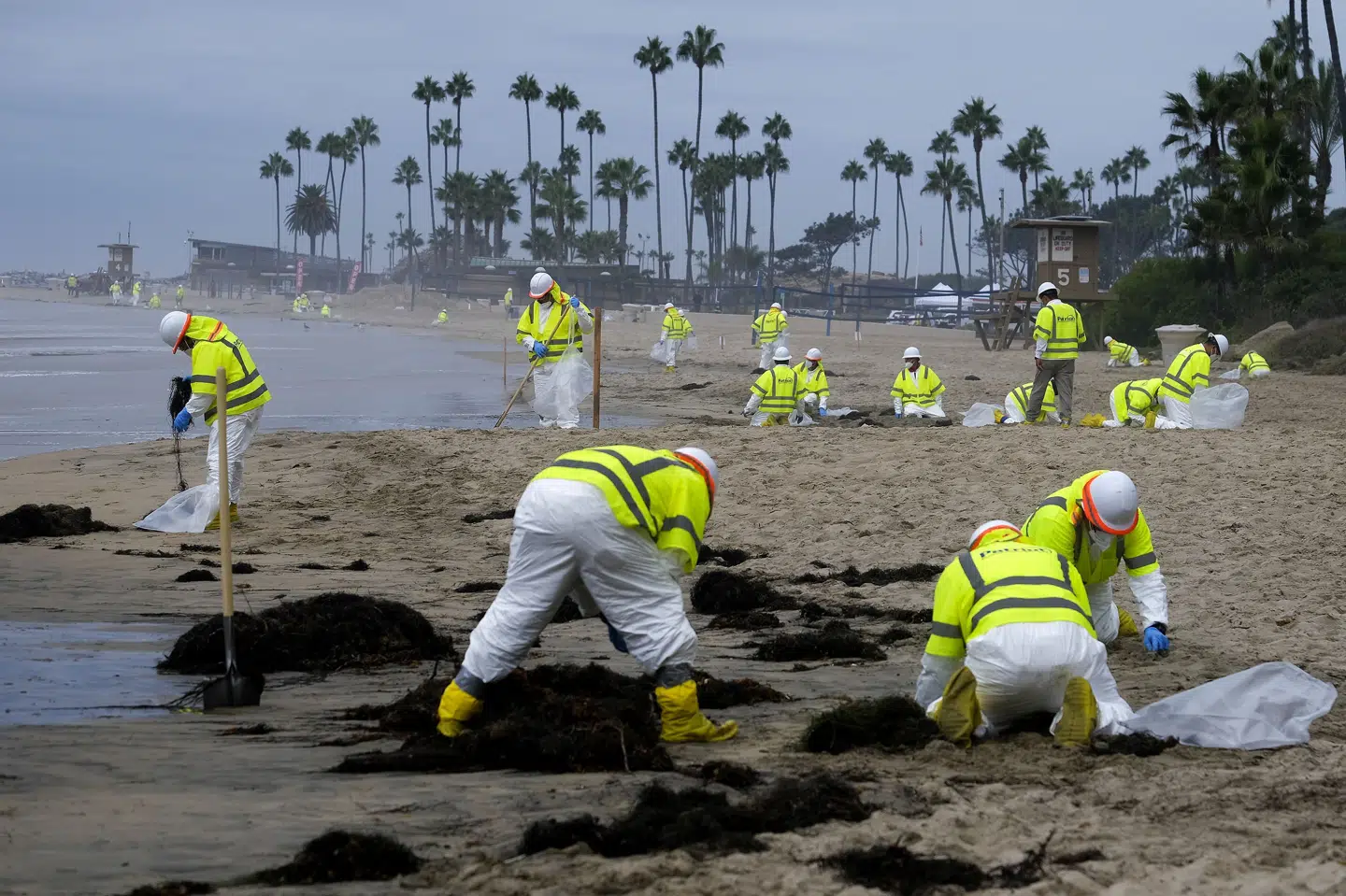Udslippet af næsten 100.000 liter råolie i oktober 2021 forurenede blandt andet stranden Corona Del Mar i det sydlige Californien. Operatør af rørledning har indvilget i at betale 13 millioner dollar i bøde og kompensation til de myndigheder, som rensede op efter forureningen. Ringo H.w. Chiu/Ritzau Scanpix