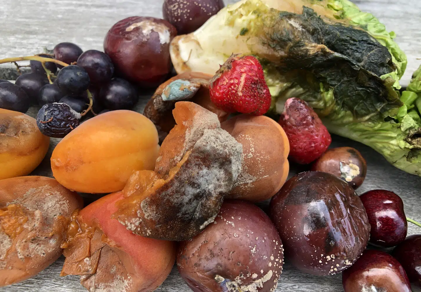 B.T. har tidligere fundet muggen frugt og grønt i 11 udvalgte supermarkeder i hovedstadsområdet. Alle varerne på billedet blev købt inden for få timer. Foto: Sabina Louise Nesheim