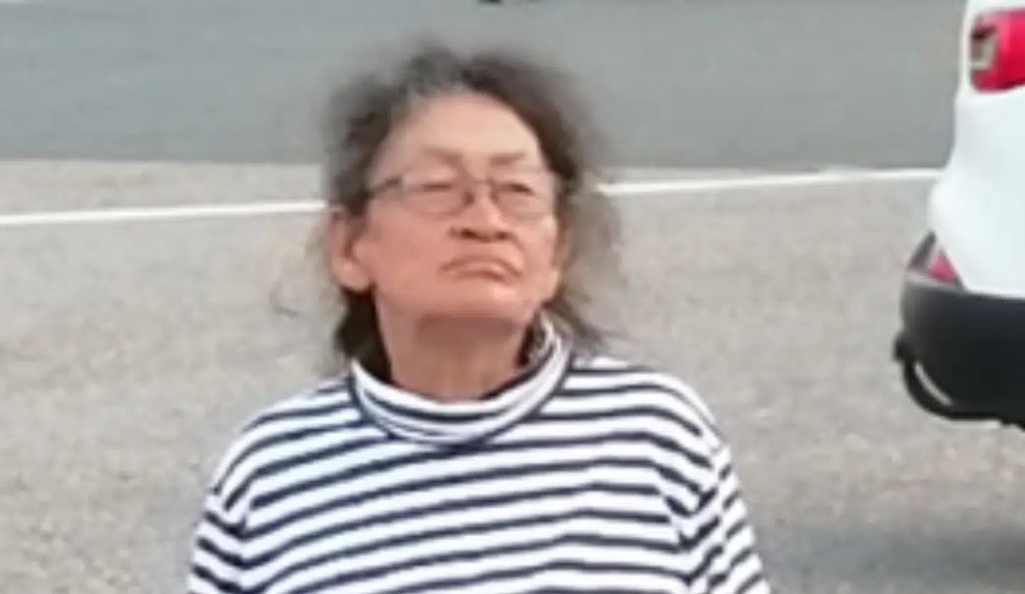 Her ses et billede af den savnede kvinde.