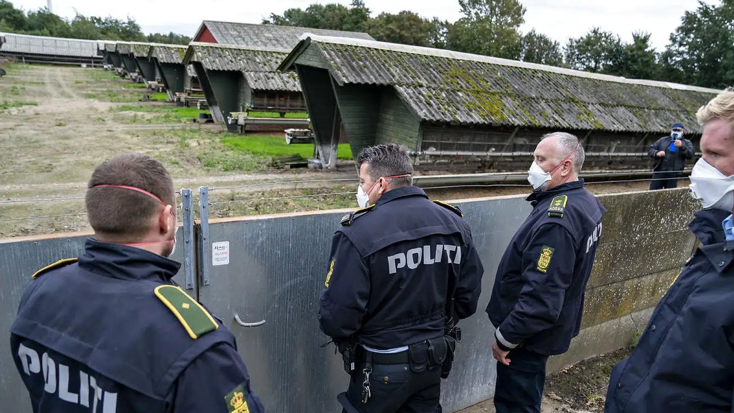 Politiet tiltvang sig adgang til minkavleres ejendom de såkaldte aflivningszoner 1 og 2, hvor der dog ikke var tale om ulovlig aflivning. I zone 3 var aflivningen ulovlig, men her deltog politiet dog ikke aktivt i aflivningerne. Man opfordrede i stedet minkavlerne selv til at foretage aflivningerne mod at modtage en såkaldt tempobonus, som var ulovlig.