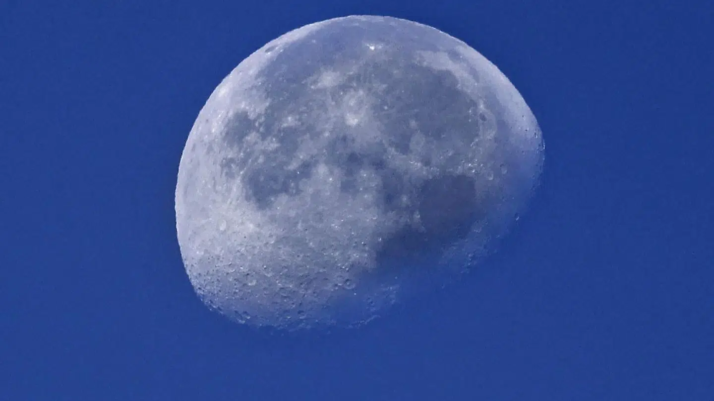 Under kampråb som 'hold the line', 'diamond hands' og 'to the moon' formåede titusindevis af private investorer i 2021 at drive store, anerkendte Wall Street-navne ud i et såkaldt short squeeze. Det tvang hedgefondene til at købe aktier i blandt andet GameStop og AMC tilbage til en langt højere pris, hvilket betød, at de tabte enorme summer.