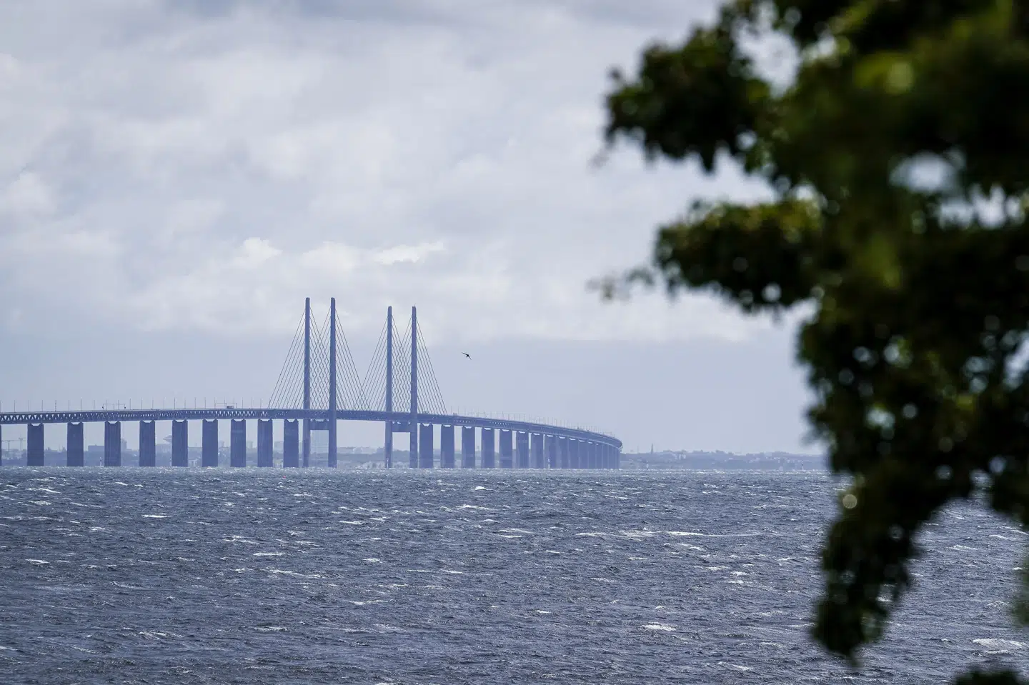Øresundsbroen åbnede 1. juli 2020 og kan dermed fejre 25 års jubilæum om tre år. (Arkivfoto.) Niels Christian Vilmann/Ritzau Scanpix
