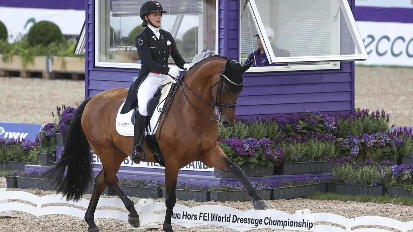 Cathrine Laudrup-Dufour på hesten Vamos Amigos.