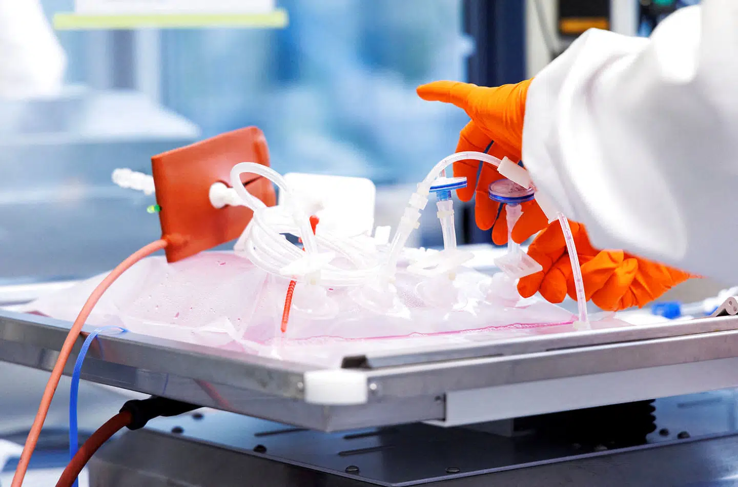 Bavarian Nordic-aktien er stadig oppe med 26 procent i år og dermed den bedste i det danske C25-indeks.