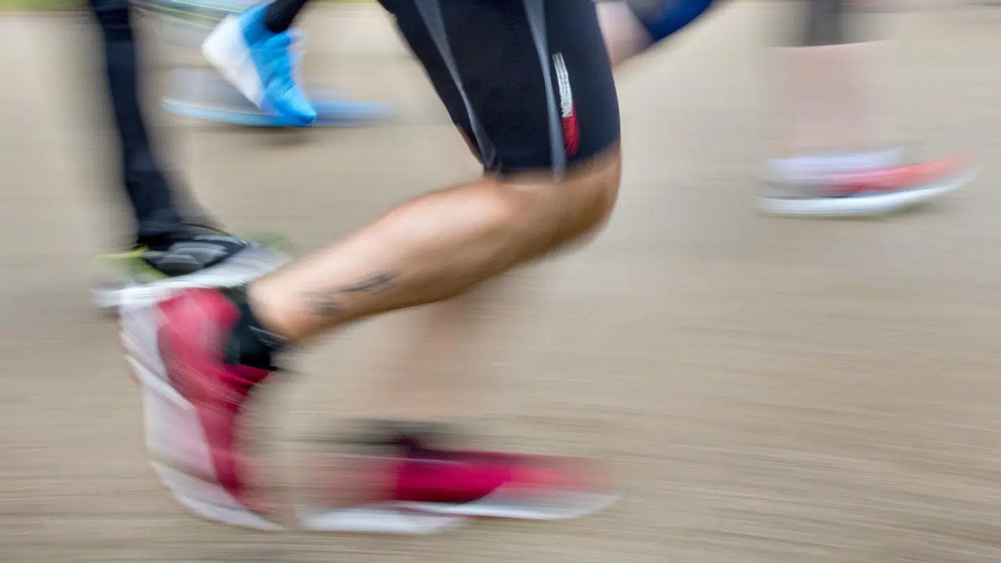 Nederst i artiklen kan du vinde et startnummer til Eremitageløbet i Dyrehaven. Arkivfoto.