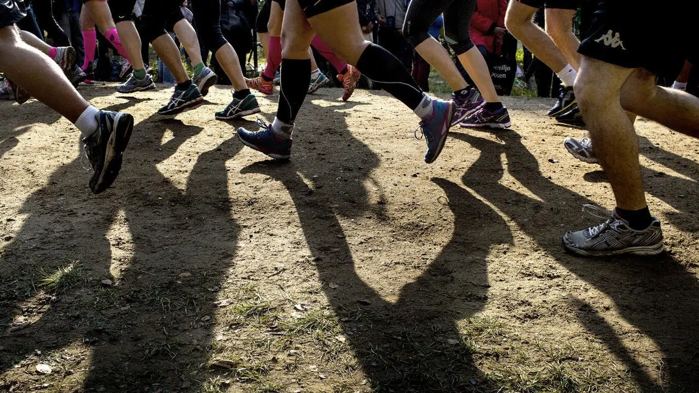 Nederst i artiklen kan du vinde et startnummer til Eremitageløbet i Dyrehaven. Arkivfoto.