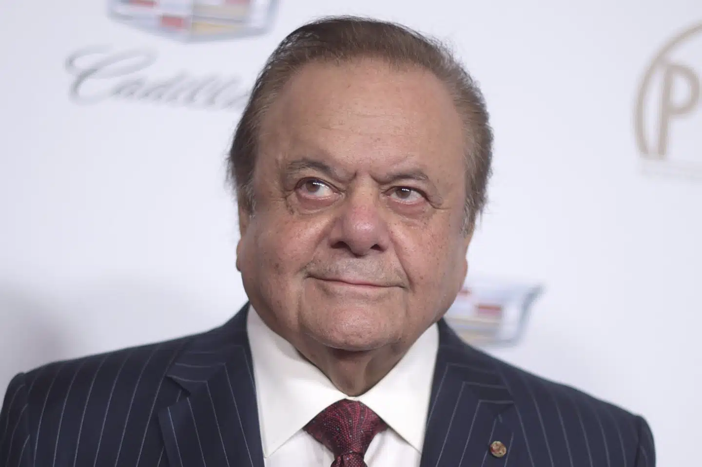 Paul Sorvino har stået på rollelisten i mere end 100 film. Mest kendt er han nok fra sin rolle i den berømmede Goodfellas, hvor han spillede over for blandt andre Robert De Niro. (Arkivfoto). Richard Shotwell/Ritzau Scanpix